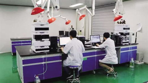 由隴藥骨干企業向龍頭企業邁進