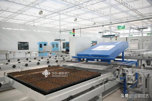 溫室作業效率低 來向這家中藥材產業示范區學習