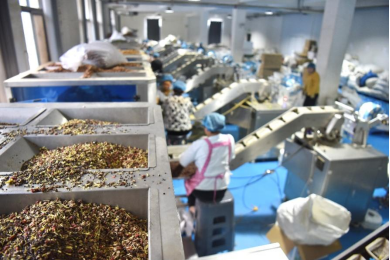 拼多多股價波動背后:為何下血本投入高質(zhì)量發(fā)展?