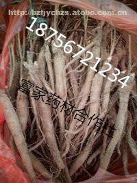 【赤芍苗現在價格】藥材種苗,價格,廠家,供應商,亳州市譙城區富家中藥材種植農民專業合作社 - 產品庫 - 阿土伯網移動版
