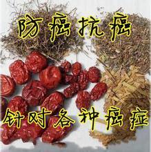 【收購河南封丘金銀花直接上中國惠農網 】價格,廠家,植物原藥材-搜了網