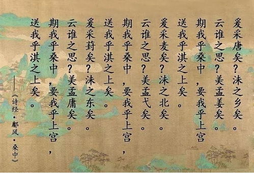 從 詩經(jīng) 中走出的中藥,認(rèn)識(shí)一下菟絲子,和女子有關(guān)