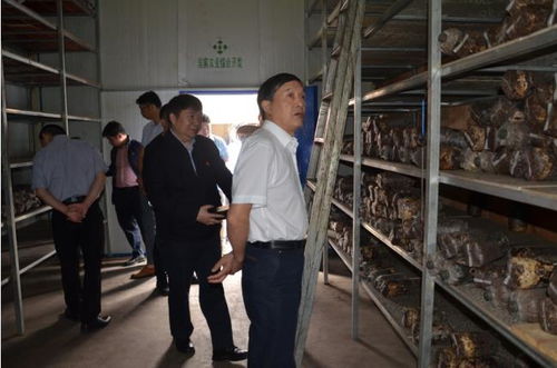 湖北中醫(yī)藥大學赴南漳開展藥材資源考察與學術交流
