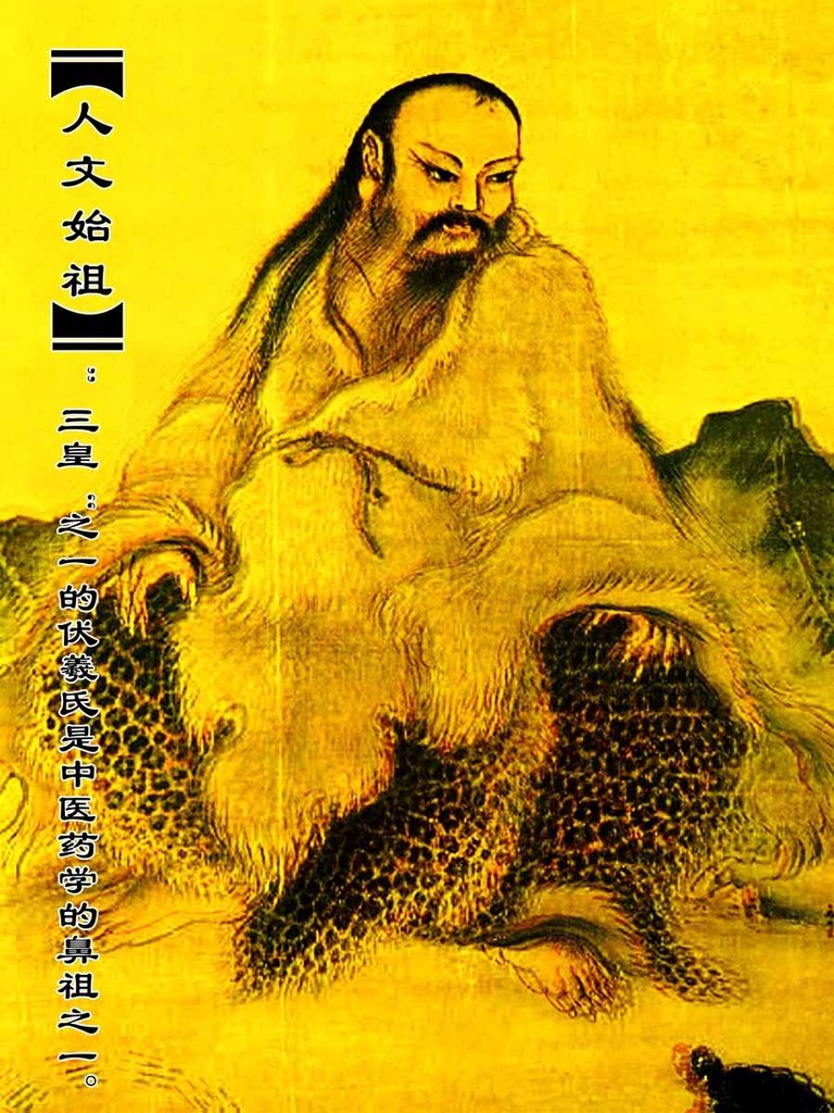 藥材的魅力 中醫(yī)藥文化的傳承與展示