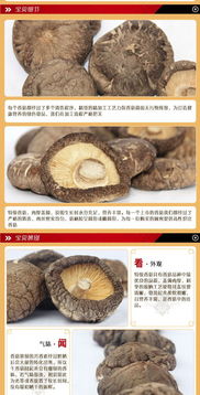 太極養生醫館壹品齋100g精品香菇 養生食補優選，提升免疫力之選