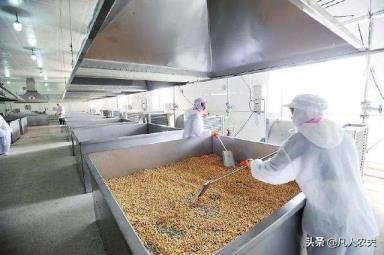 農村創業新路徑 開小工廠深加工藥材，因地制宜促增收