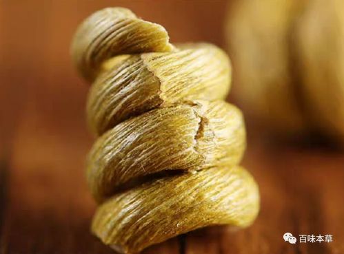 道地藥材探秘 霍山石斛的獨(dú)特魅力與藥用價(jià)值