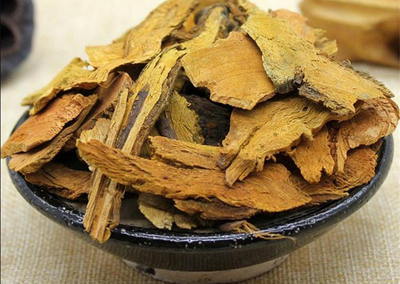 虎杖種植前景與效益分析